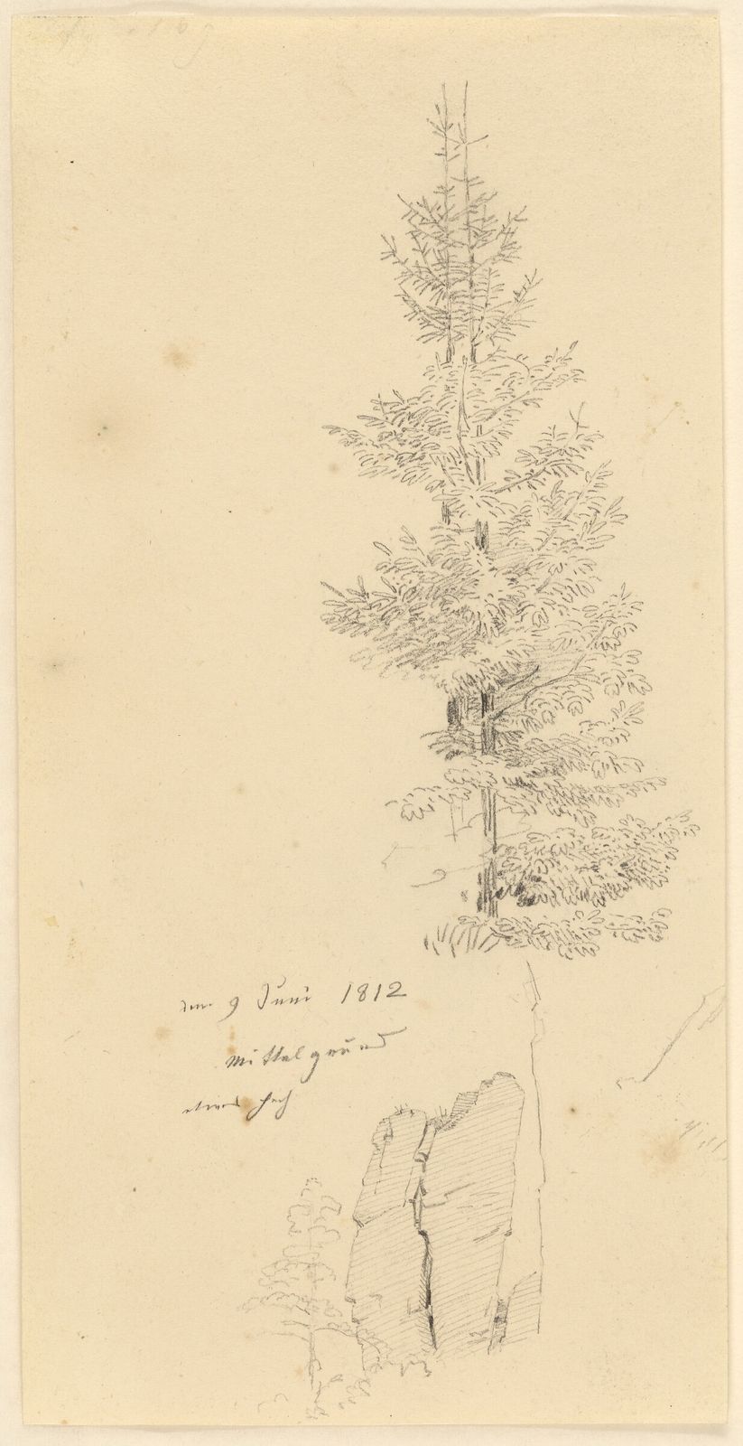 Study of Pine Trees and a Rock (recto); Landscape (verso) by Caspar David Friedrich